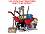 Жители поселений Кологривского района приняли участие в «Генеральной уборке страны»