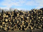 Запас дров в котельных Кологривского района Костромской области растёт