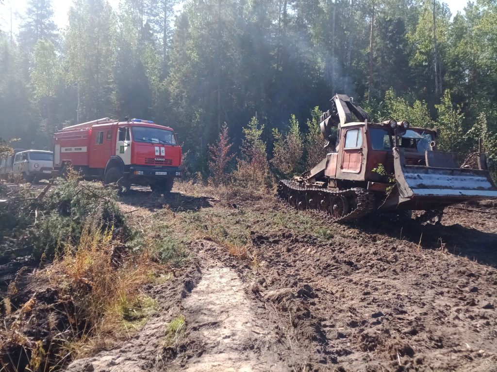 ЗДЕСЬ СНОВА ЗАПЕЛИ ПТИЦЫ: несколько горячих дней в лесу — Кологривский край